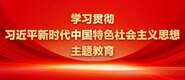 超级粉嫩大逼逼学习贯彻习近平新时代中国特色社会主义思想主题教育_fororder_ad-371X160(2)